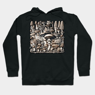 Fungi - 19th century science art Hoodie